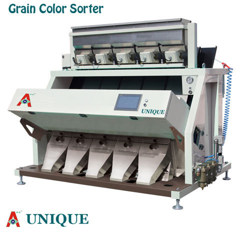 Nullam euismod commodo